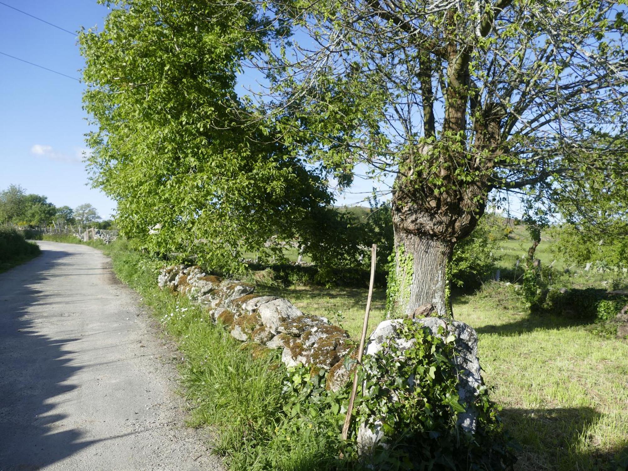 Pension O Corazon Da Ribeira Sacra La Teijeira Eksteriør billede